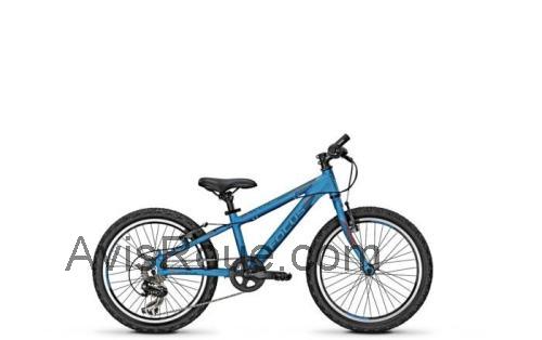 Focus Raven Rookie 1.0 fiche technique et avis